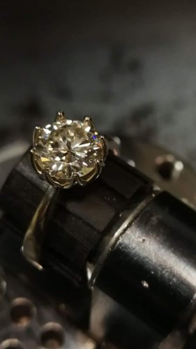 IMG_1611310147523 IMG_1611310147523